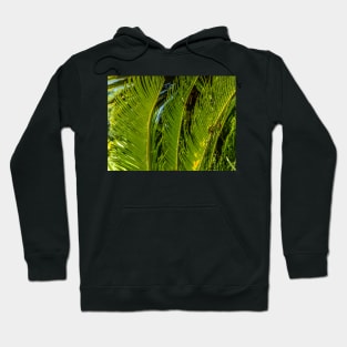 Sago Palm Hoodie